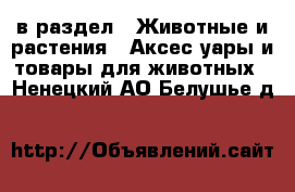  в раздел : Животные и растения » Аксесcуары и товары для животных . Ненецкий АО,Белушье д.